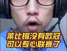 莱比锡红牛迎来新援，球迷期待其表现的简单介绍