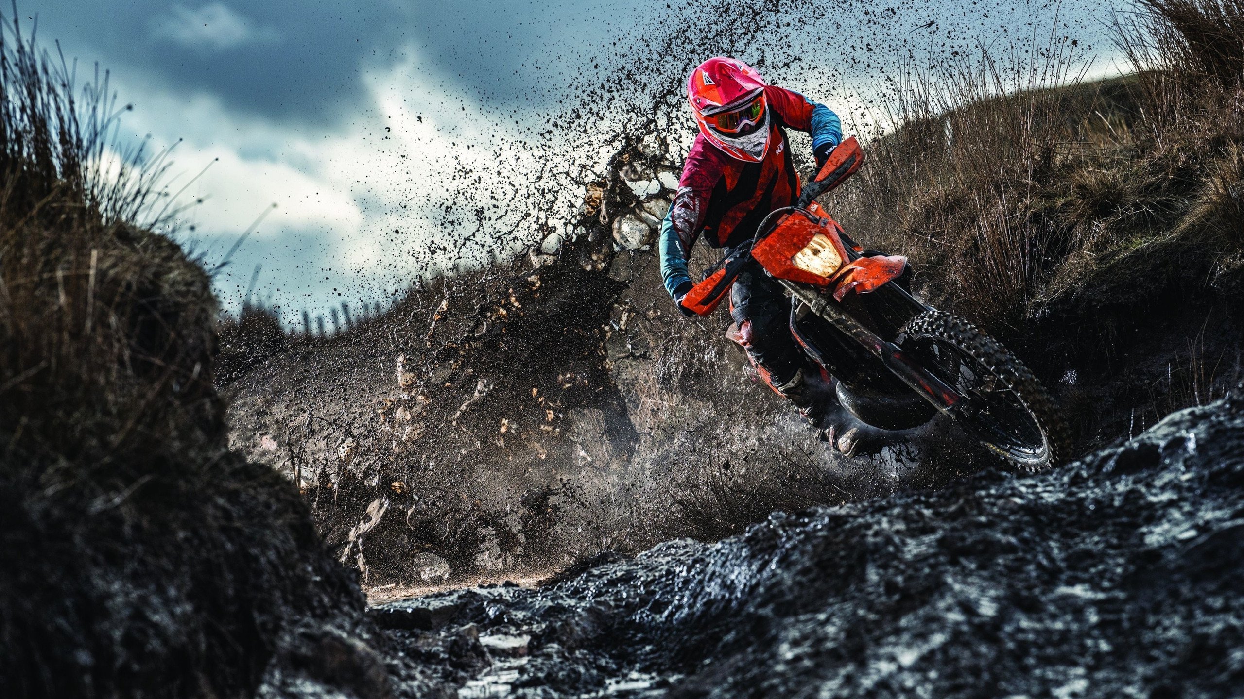  日本十大情感综艺 