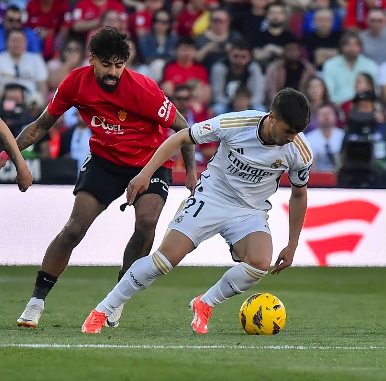 帕尔马vs蒙扎比赛结果